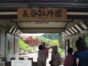 長谷牡丹園